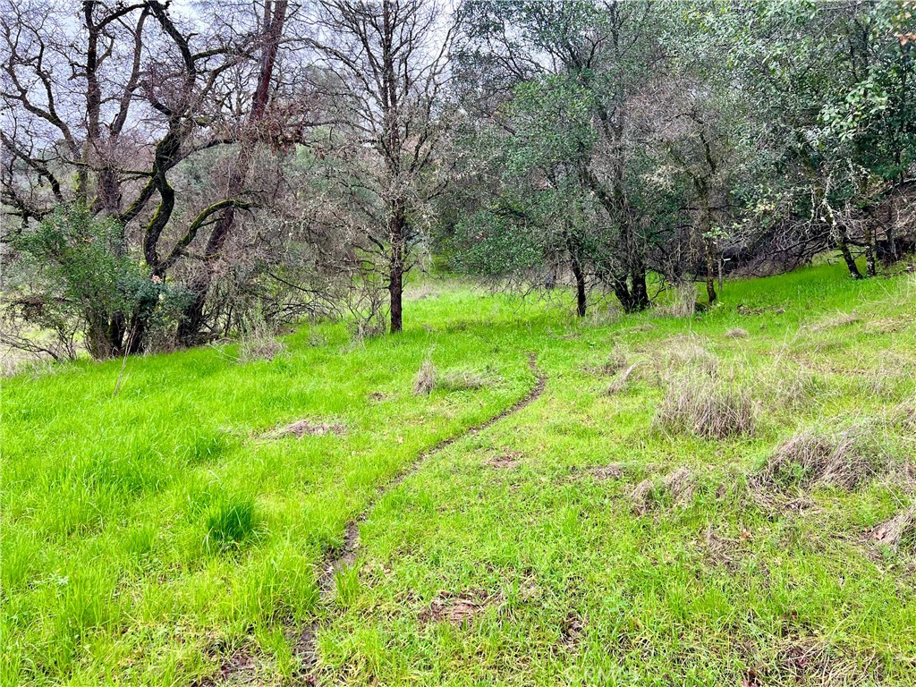 6590 Hotel Rd, Lucerne, CA 95458