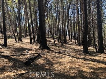 7097 High Valley, Lucerne, CA 95458