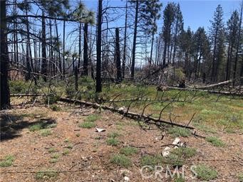 7097 High Valley, Lucerne, CA 95458