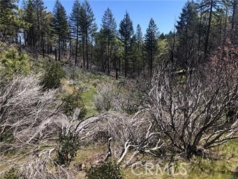 7097 High Valley, Lucerne, CA 95458