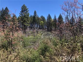 6847 High Valley, Lucerne, CA 95458