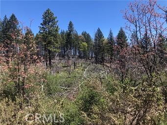 6847 High Valley, Lucerne, CA 95458