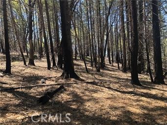 6847 High Valley, Lucerne, CA 95458