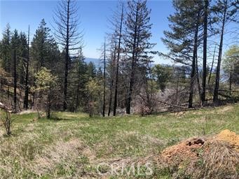 6847 High Valley, Lucerne, CA 95458
