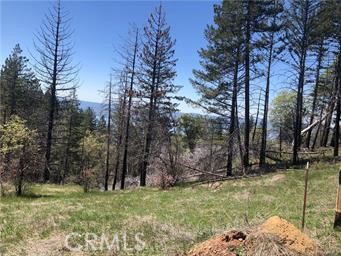 6847 High Valley, Lucerne, CA 95458