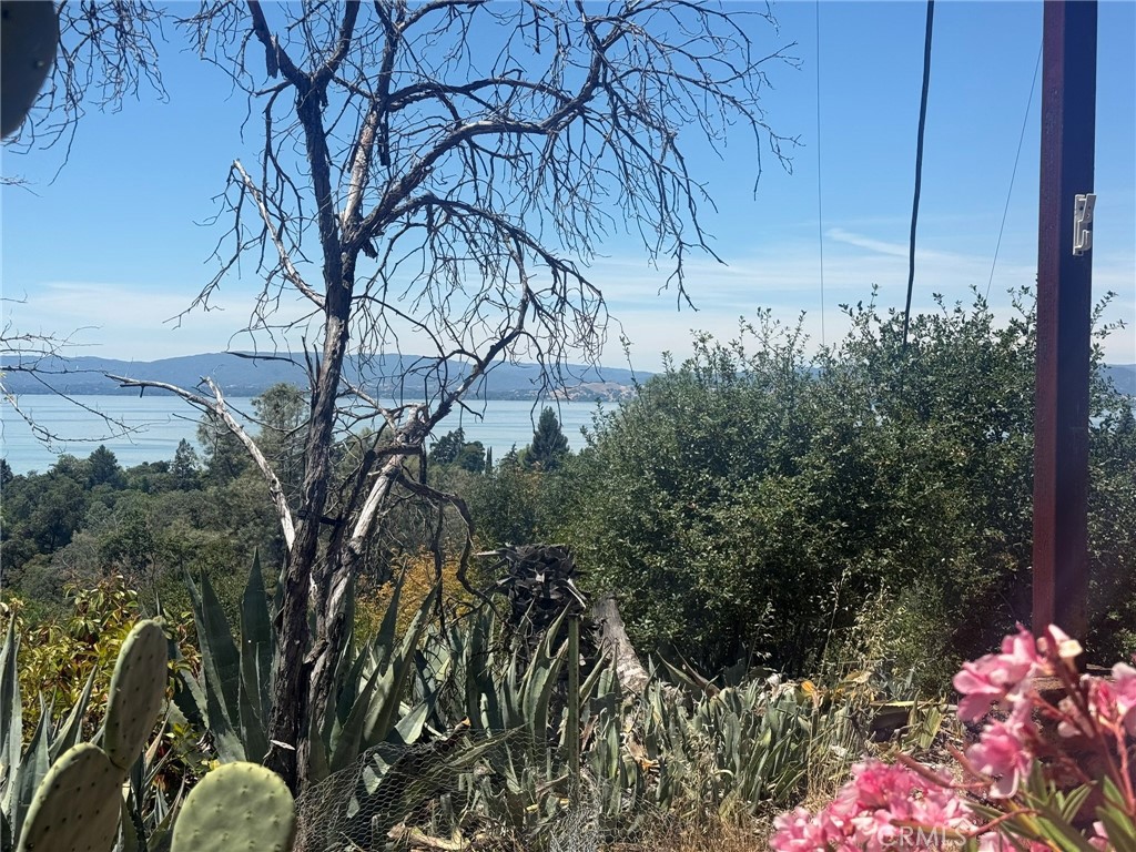 3855 Lakeview, Lucerne, CA 95458