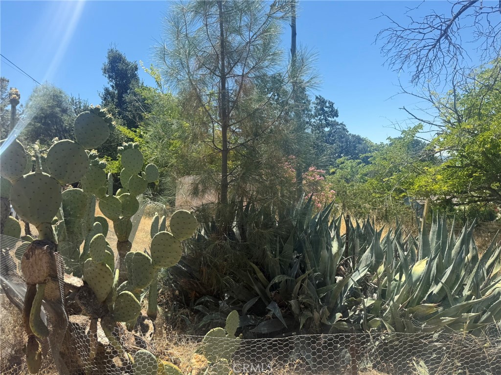 3855 Lakeview, Lucerne, CA 95458