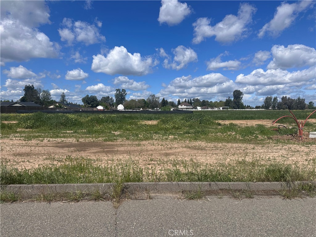 0 White Crane, Atwater, CA 95301