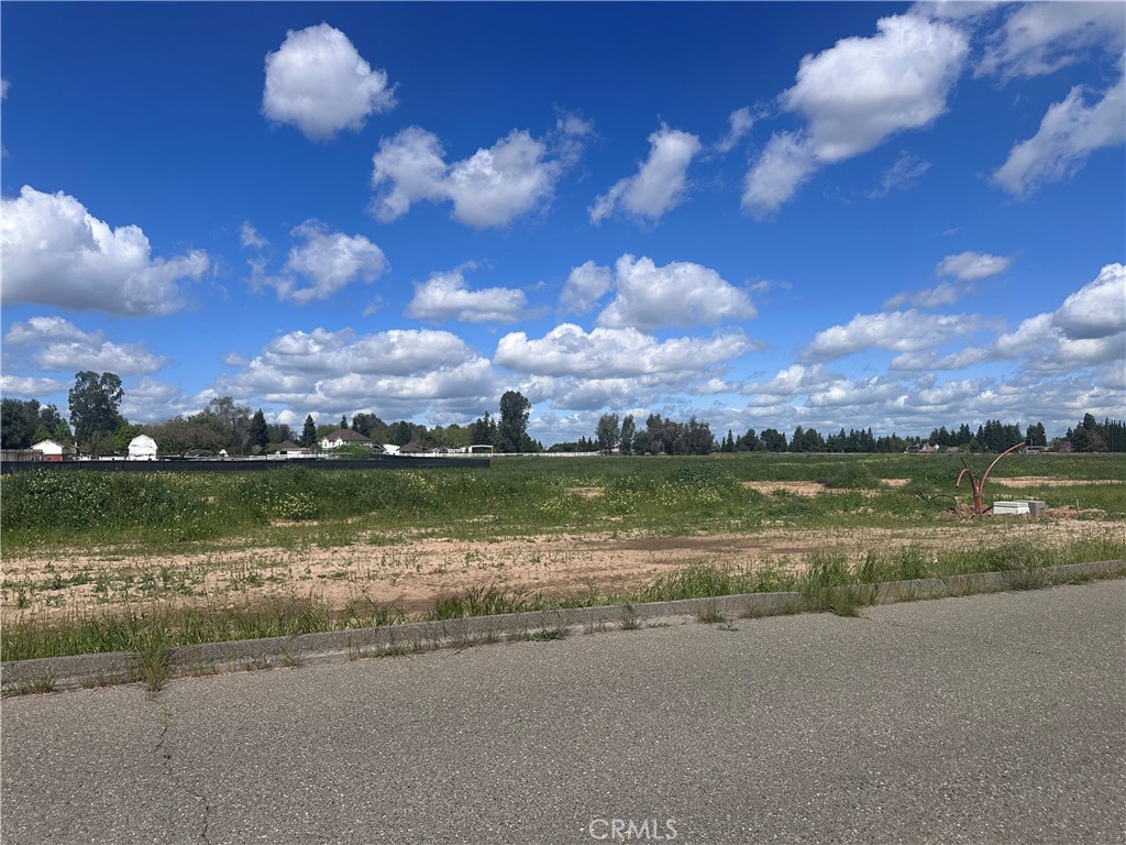 0 White Crane, Atwater, CA 95301