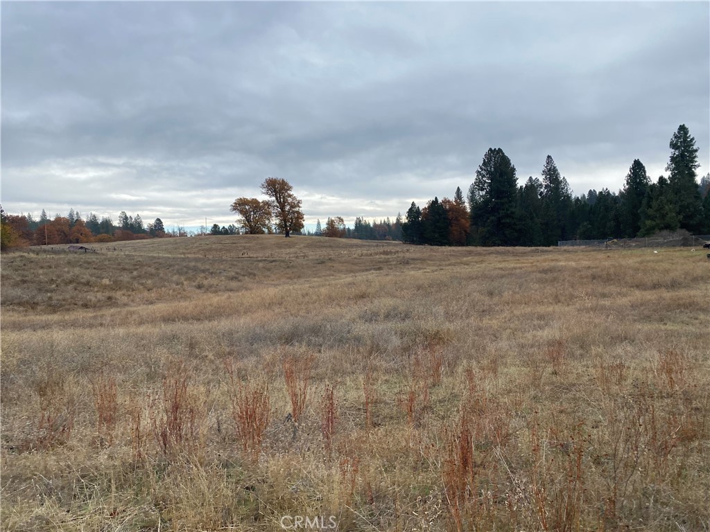 6434 Greeley Hill Rd, Coulterville, CA 95311