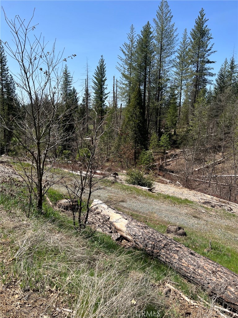 6493 Greeley Hill Rd, Coulterville, CA 95311