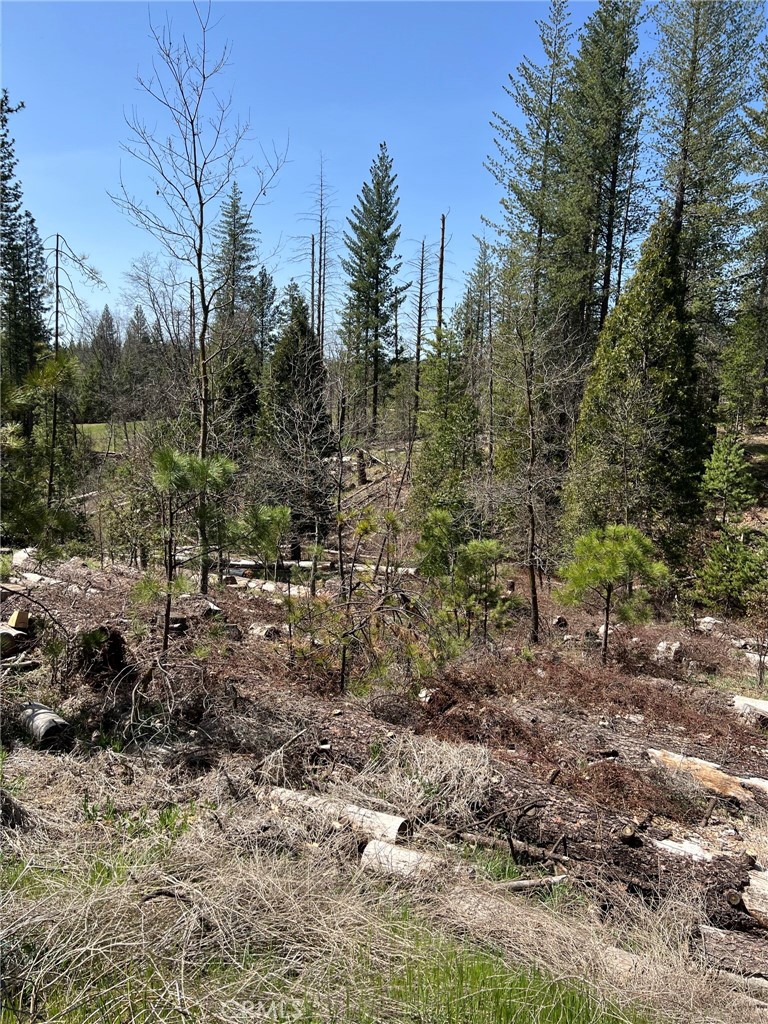 6493 Greeley Hill Rd, Coulterville, CA 95311