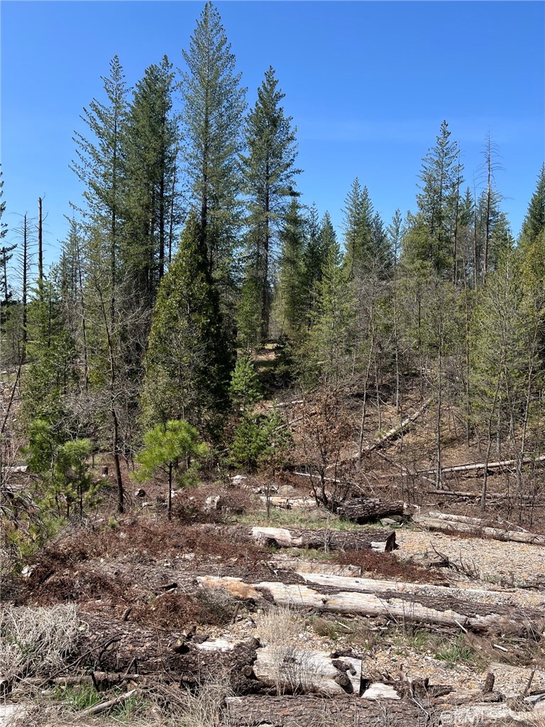 6493 Greeley Hill Rd, Coulterville, CA 95311