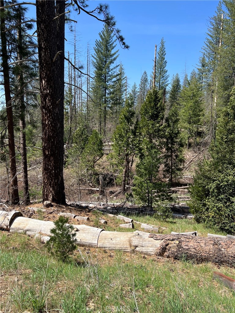 6493 Greeley Hill Rd, Coulterville, CA 95311