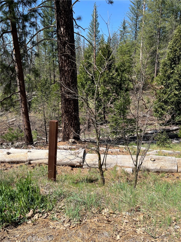 6493 Greeley Hill Rd, Coulterville, CA 95311