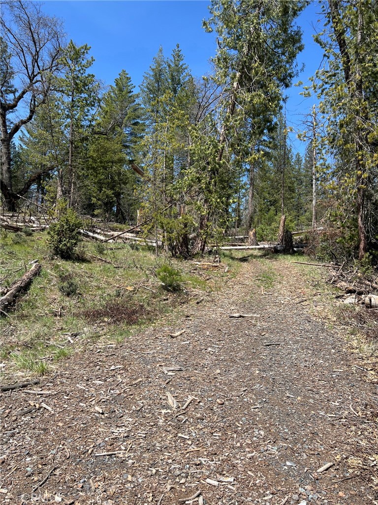 6493 Greeley Hill Rd, Coulterville, CA 95311