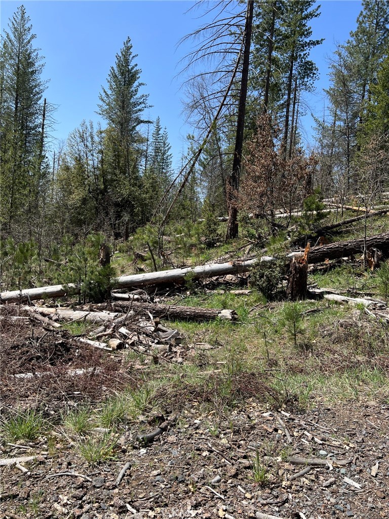 6493 Greeley Hill Rd, Coulterville, CA 95311