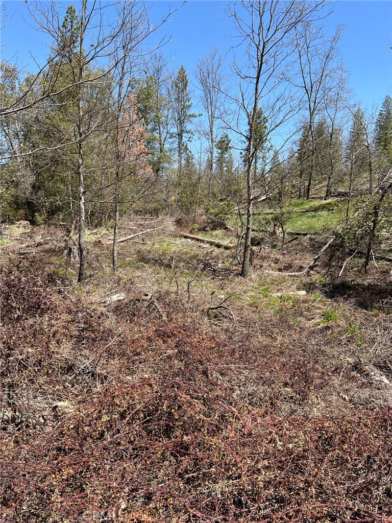 6493 Greeley Hill Rd, Coulterville, CA 95311