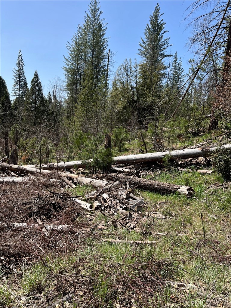 6493 Greeley Hill Rd, Coulterville, CA 95311