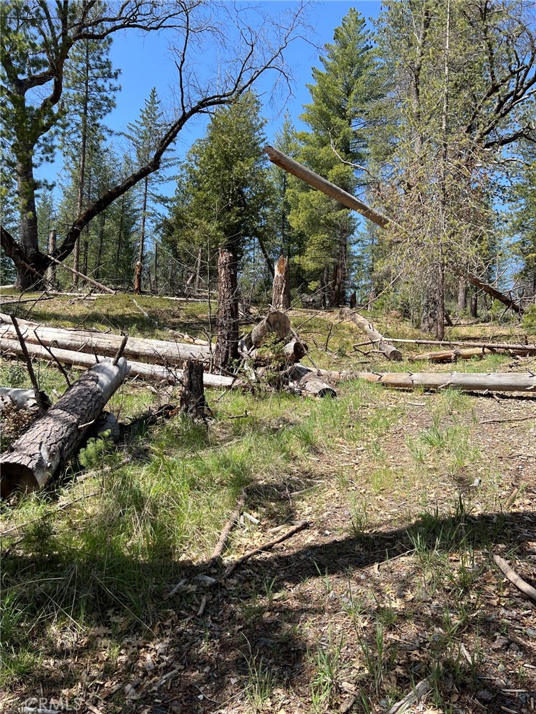 6493 Greeley Hill Rd, Coulterville, CA 95311