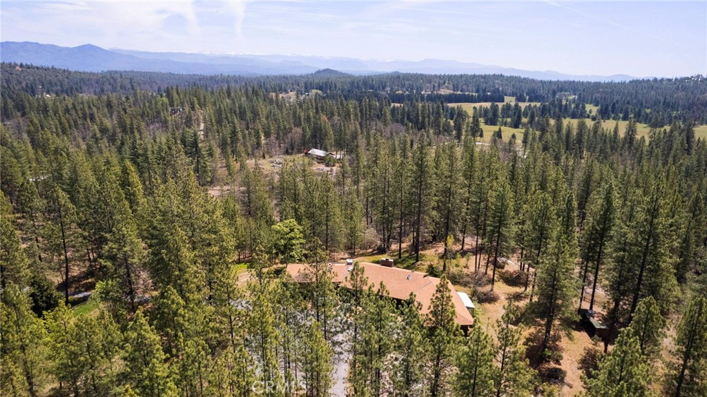 10379 Mcmahon Rd, Coulterville, CA 95311