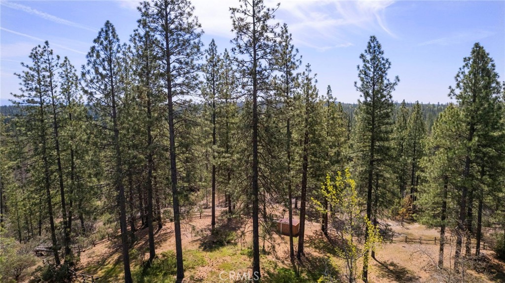 10379 Mcmahon Rd, Coulterville, CA 95311