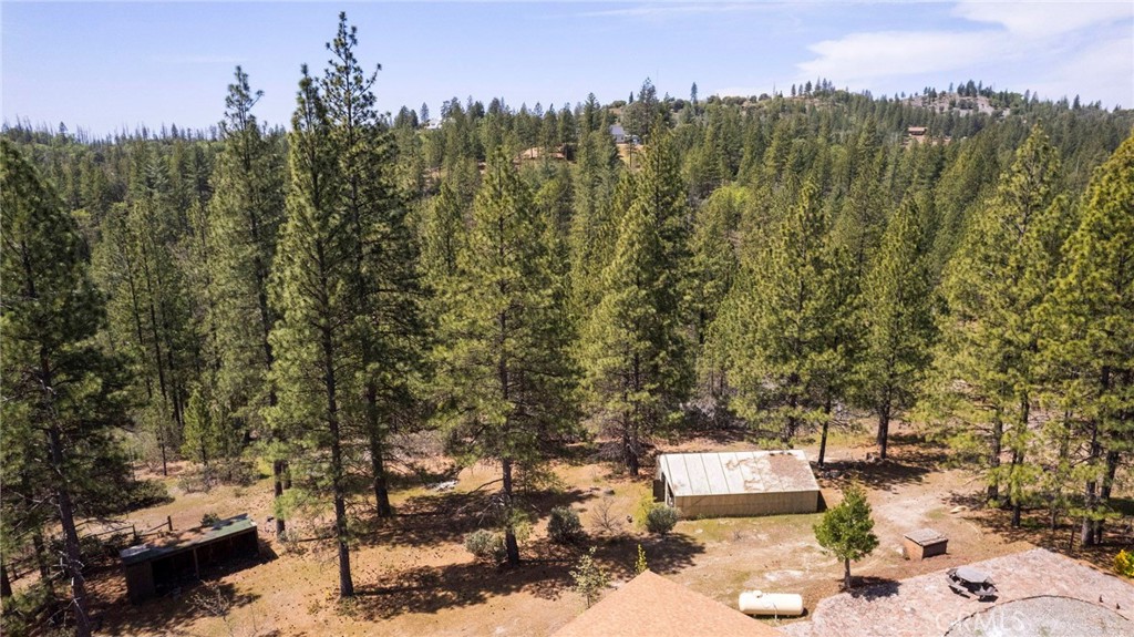 10379 Mcmahon Rd, Coulterville, CA 95311