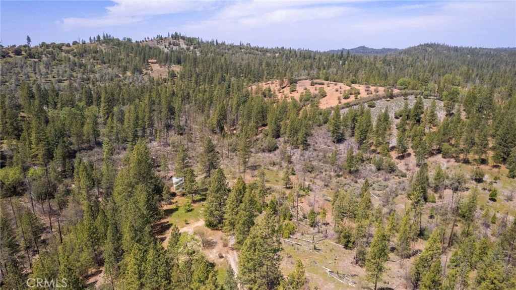 10379 Mcmahon Rd, Coulterville, CA 95311