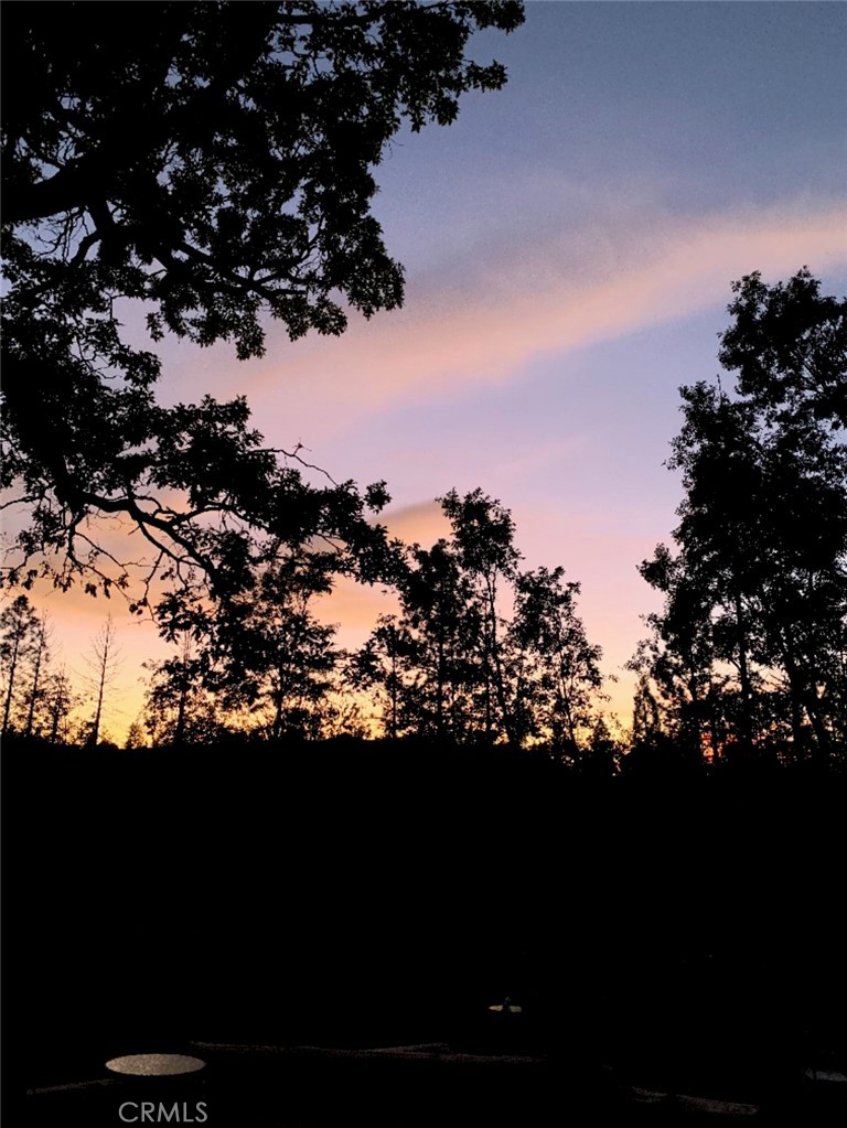 10379 Mcmahon Rd, Coulterville, CA 95311