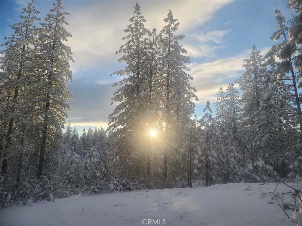 10379 Mcmahon Rd, Coulterville, CA 95311