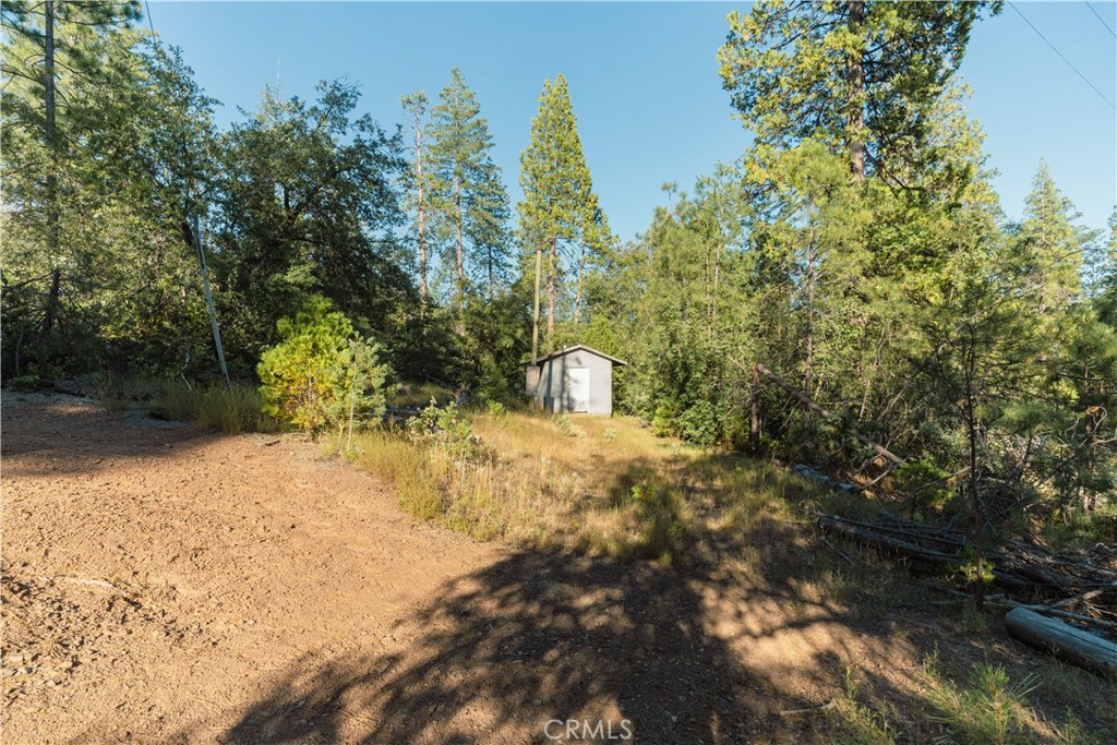 10902 Stout Ln, Coulterville, CA 95311