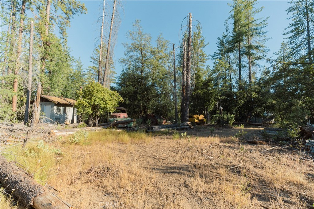 10902 Stout Ln, Coulterville, CA 95311