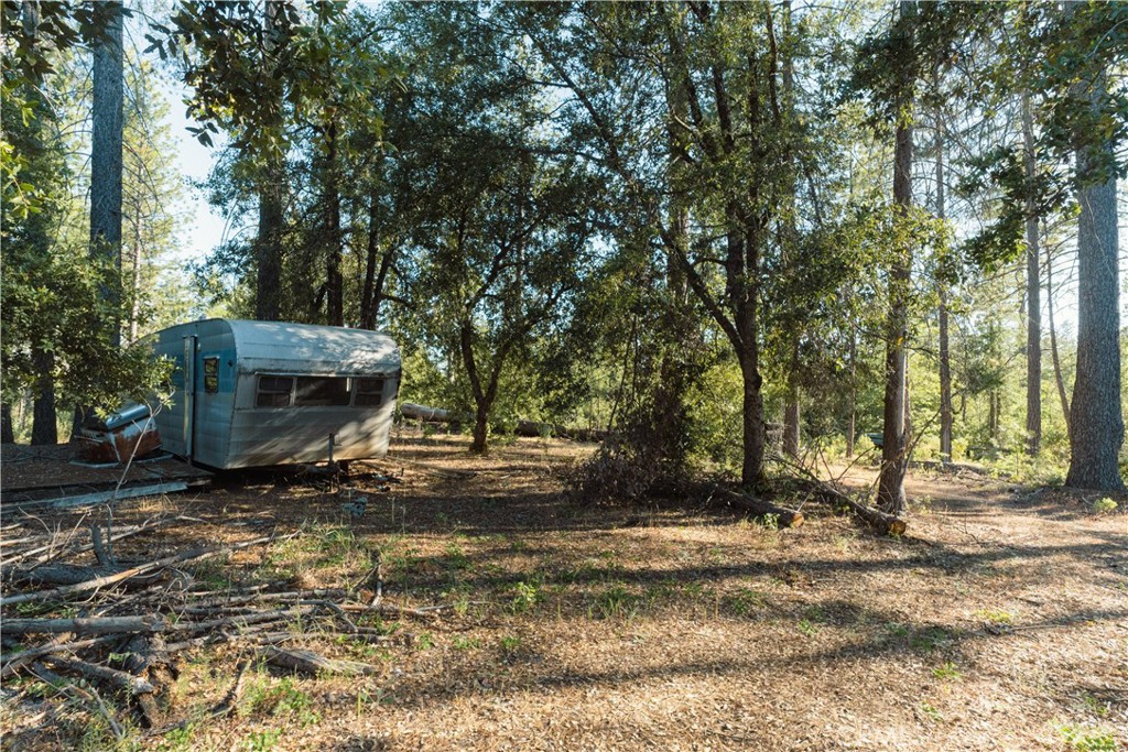 10902 Stout Ln, Coulterville, CA 95311