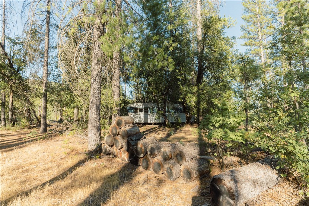 10902 Stout Ln, Coulterville, CA 95311
