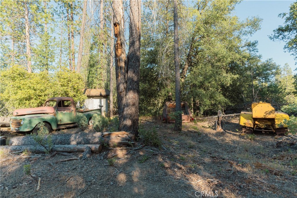 10902 Stout Ln, Coulterville, CA 95311