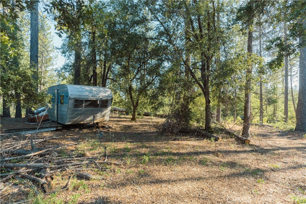 10902 Stout Ln, Coulterville, CA 95311