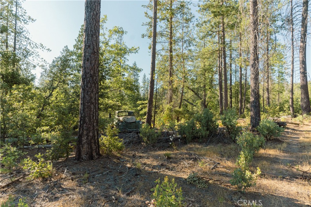 10902 Stout Ln, Coulterville, CA 95311