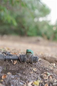 1192 E Gerard Ave, Merced, CA 95341