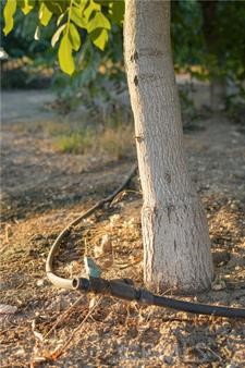 1081 E Gerard Ave, Merced, CA 95341