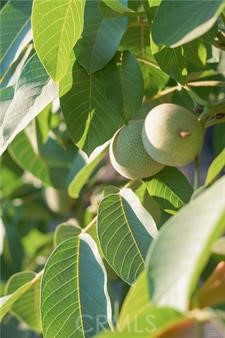 1081 E Gerard Ave, Merced, CA 95341