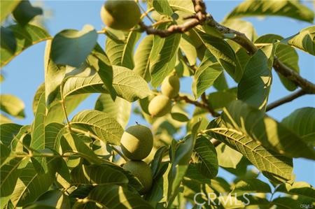 1081 E Gerard Ave, Merced, CA 95341