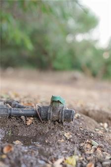 1081 E Gerard Ave, Merced, CA 95341