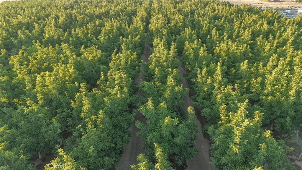 1081 E Gerard Ave, Merced, CA 95341