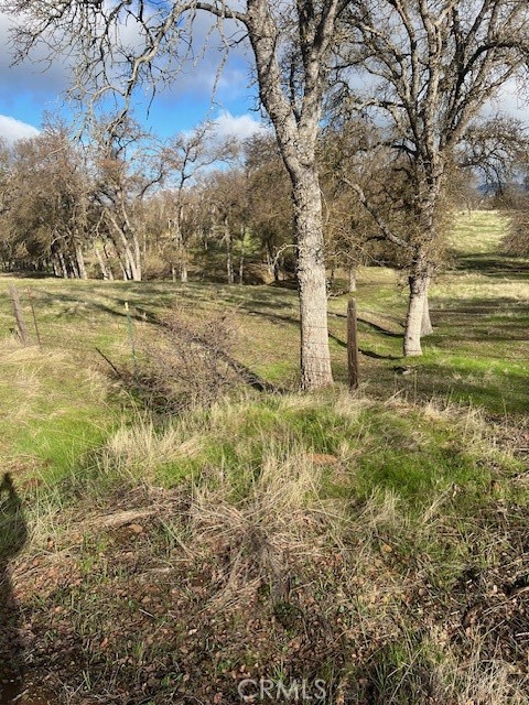 0 Bobcat Ct, Catheys Valley, CA 95306