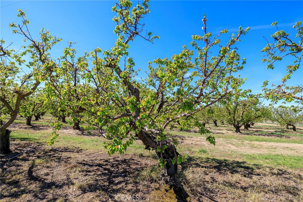 1 Hamilton Rd, Patterson, CA 95360