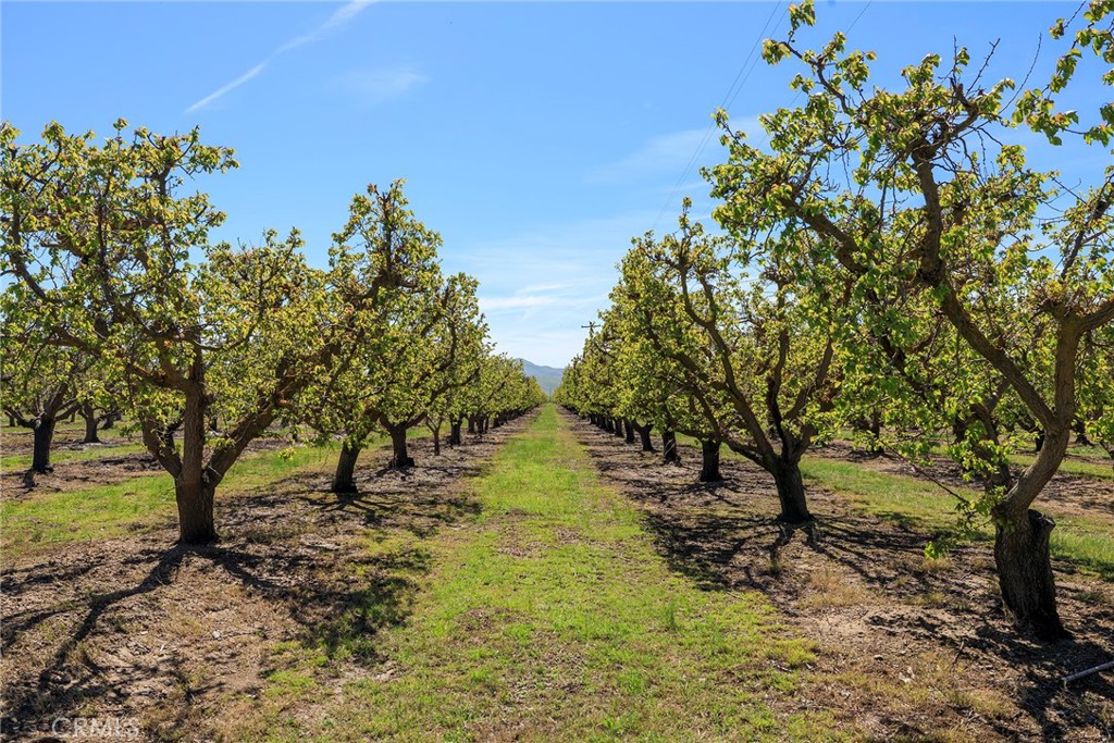 1 Hamilton Rd, Patterson, CA 95360