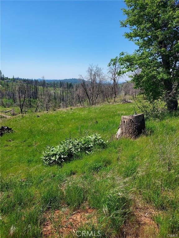 3109 Wild Dove Ln, Mariposa, CA 95338