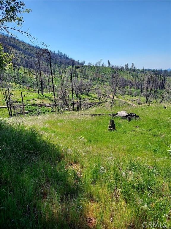 3109 Wild Dove Ln, Mariposa, CA 95338