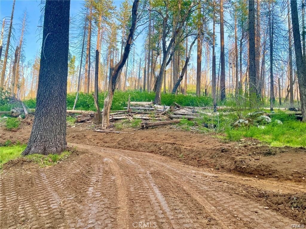 229 Comet Mine, Mariposa, CA 95338