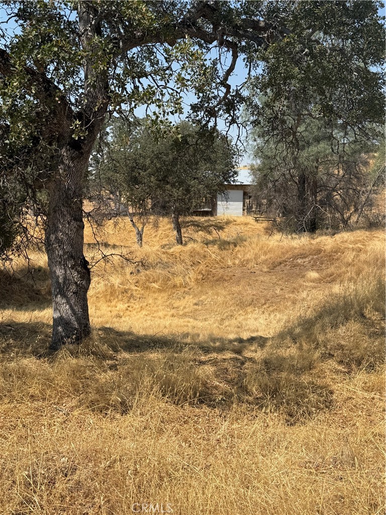 38914 Road 810, Raymond, CA 93653